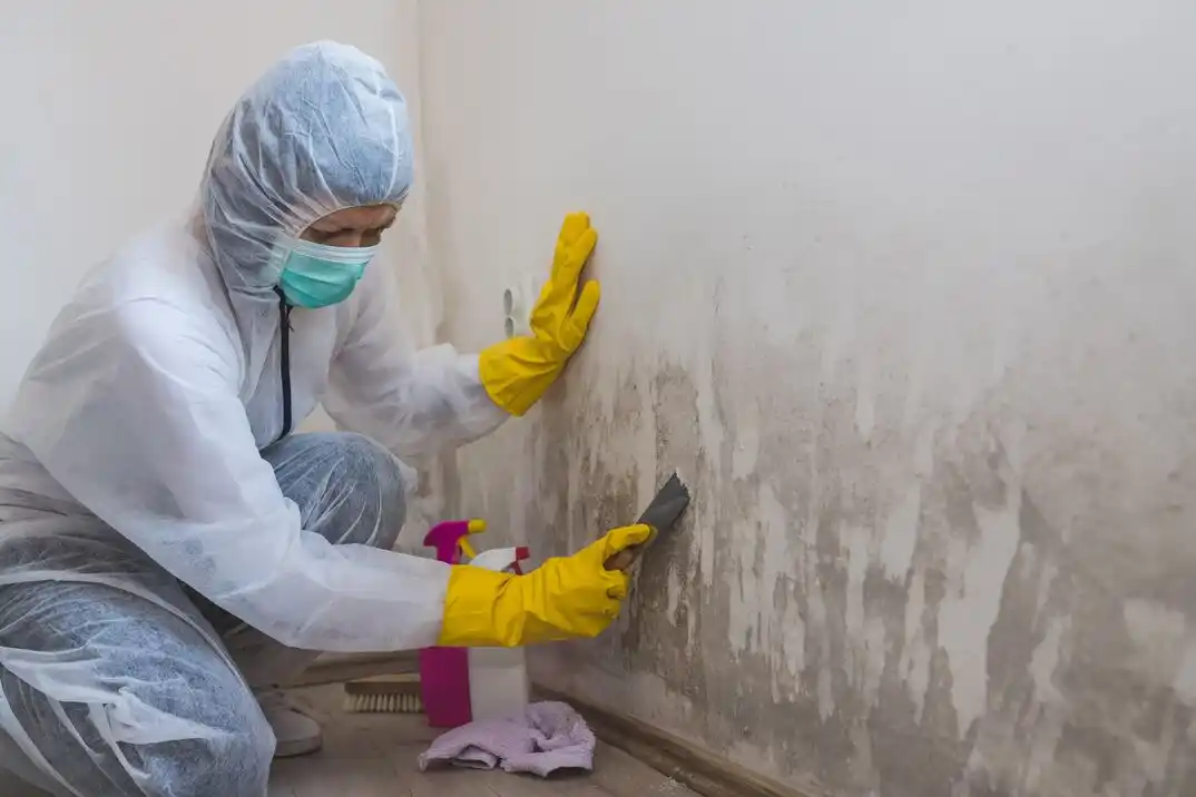 water damage restoration service Ridgehaven Volunteer